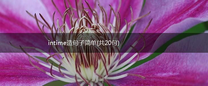 intime造句子简单(共20句),第1张