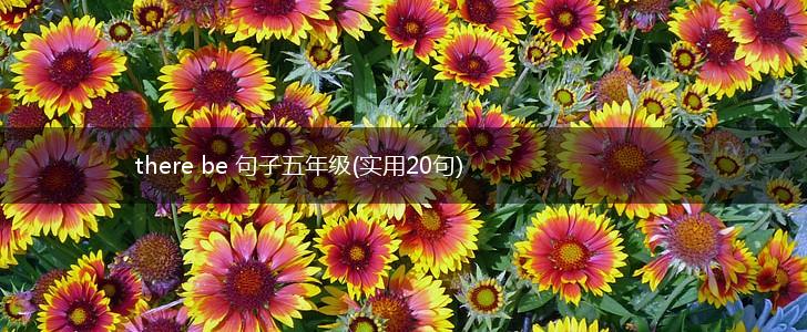 there be 句子五年级(实用20句),第1张