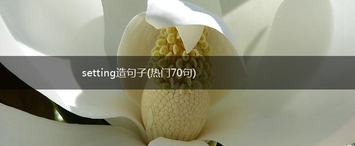 setting造句子(热门70句),第1张
