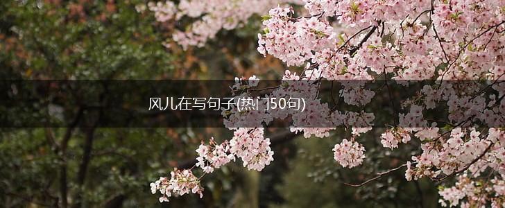 风儿在写句子(热门50句),第1张