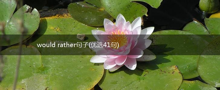 would rather句子(优选41句),第1张