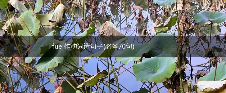 fuel作动词造句子(必备70句),第1张