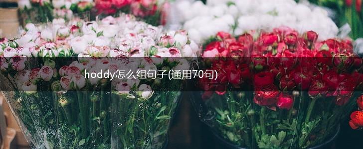 hoddy怎么组句子(通用70句),第1张