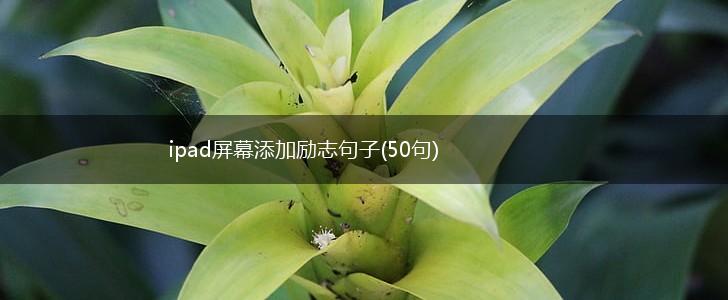 ipad屏幕添加励志句子(50句),第1张