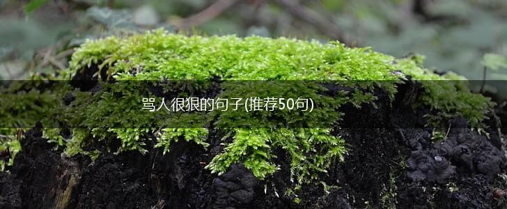 骂人很狠的句子(推荐50句),第1张
