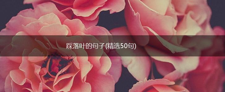 踩落叶的句子(精选50句),第1张