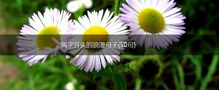 风字开头的浪漫句子(50句),第1张