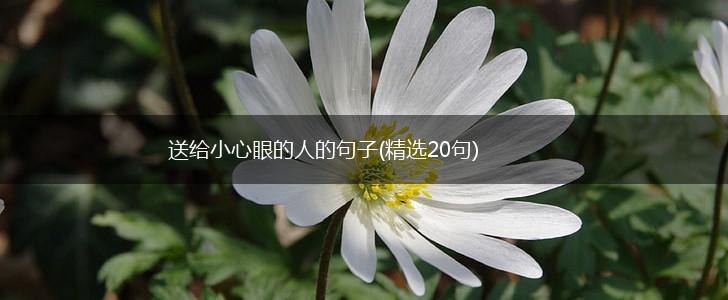 送给小心眼的人的句子(精选20句),第1张