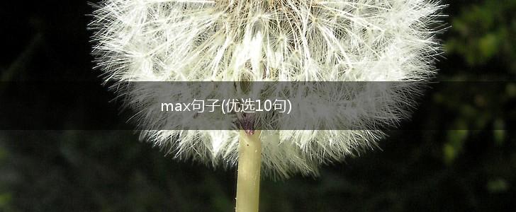 max句子(优选10句),第1张