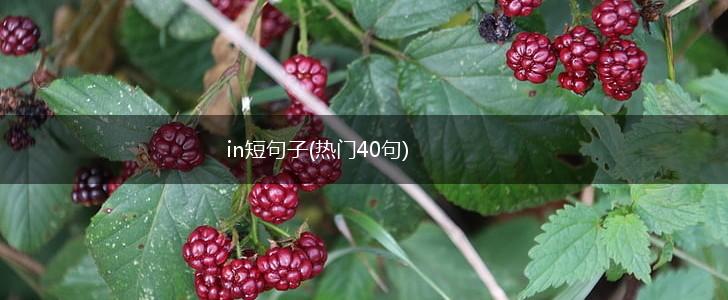 in短句子(热门40句),第1张