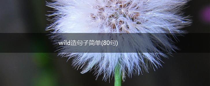 wild造句子简单(80句),第1张