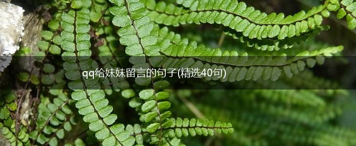 qq给妹妹留言的句子(精选40句),第1张