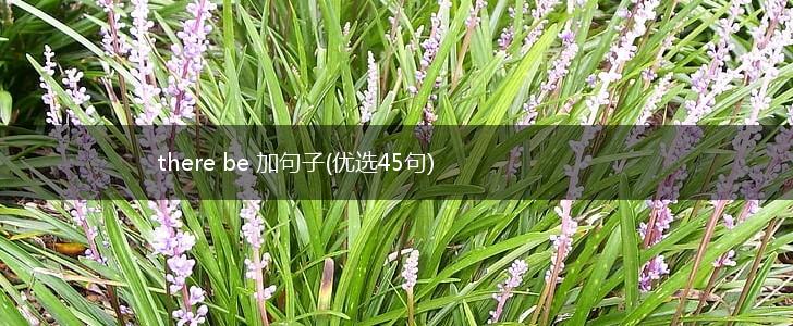 there be 加句子(优选45句),第1张