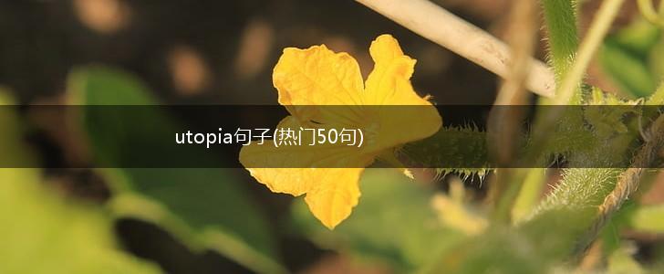 utopia句子(热门50句),第1张