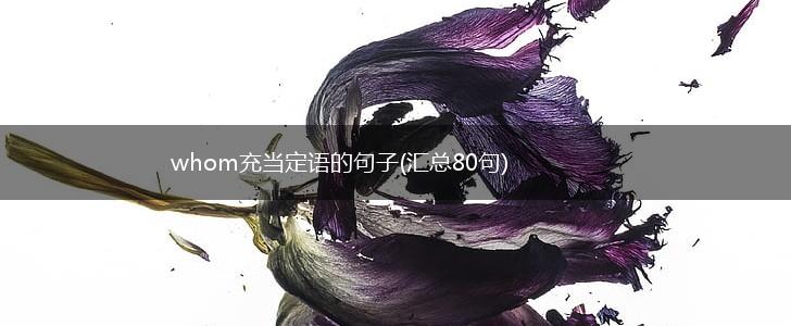 whom充当定语的句子(汇总80句),第1张