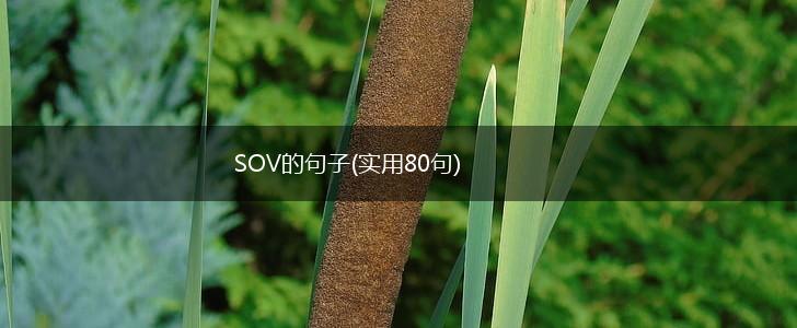 SOV的句子(实用80句),第1张