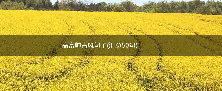 高富帅古风句子(汇总50句),第1张
