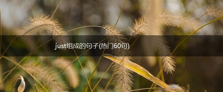 just组成的句子(热门60句),第1张