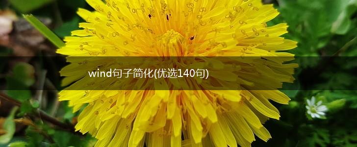 wind句子简化(优选140句),第1张
