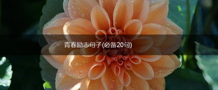 青春励志句子(必备20句),第1张