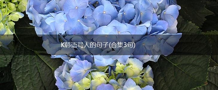 K韩语骂人的句子(合集3句),第1张