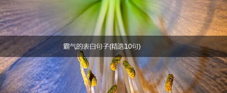 霸气的表白句子(精选10句),第1张
