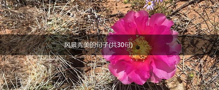 风景秀美的句子(共30句),第1张
