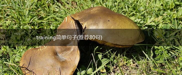 training简单句子(推荐80句),第1张
