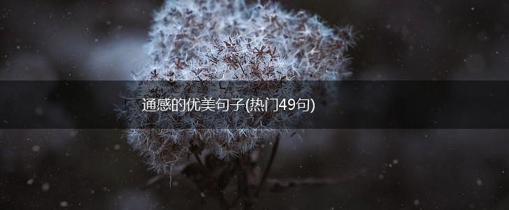 通感的优美句子(热门49句),第1张
