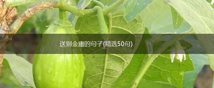 送别金庸的句子(精选50句),第1张