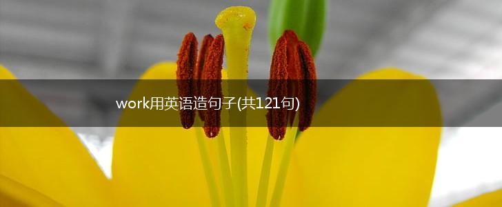 work用英语造句子(共121句),第1张