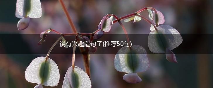 饶有兴趣造句子(推荐50句),第1张