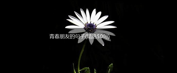 青春朋友的句子(精选50句),第1张