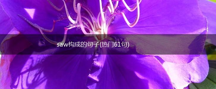saw构成的句子(热门61句),第1张