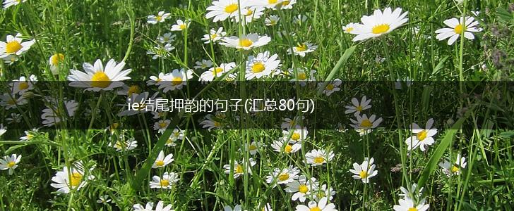 ie结尾押韵的句子(汇总80句),第1张