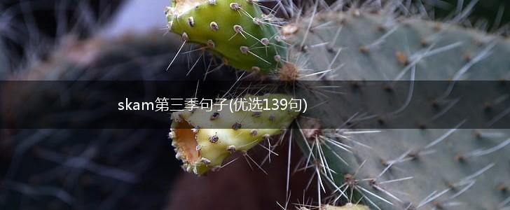 skam第三季句子(优选139句),第1张