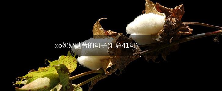 xo奶奶勤劳的句子(汇总41句),第1张