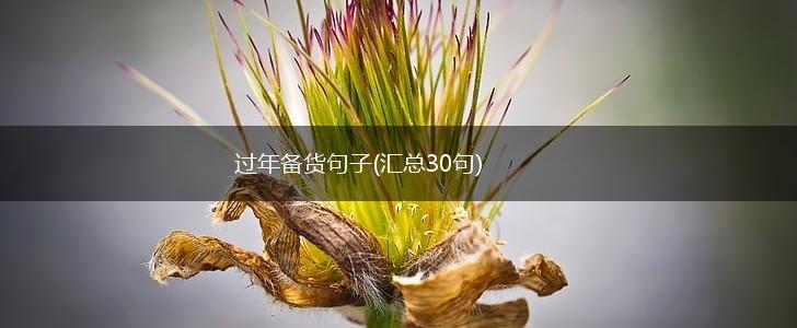过年备货句子(汇总30句),第1张