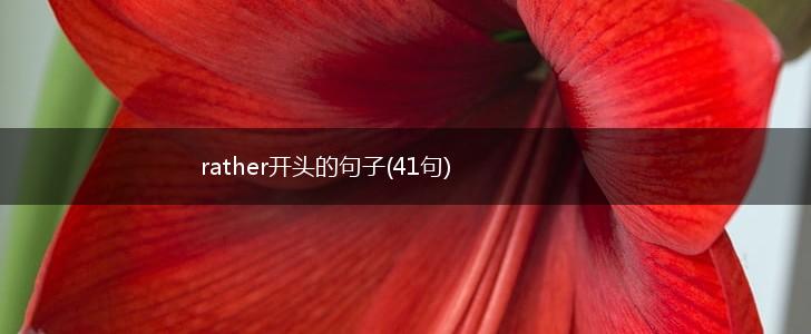 rather开头的句子(41句),第1张