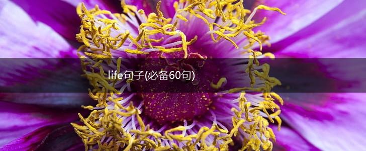 life句子(必备60句),第1张