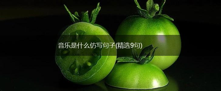 音乐是什么仿写句子(精选9句),第1张