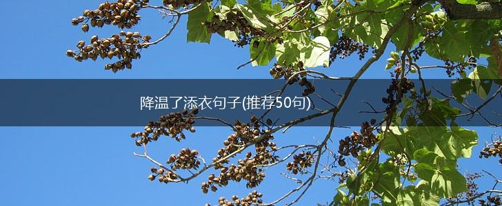 降温了添衣句子(推荐50句),第1张