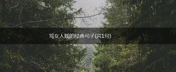 骂女人贱的经典句子(共1句),第1张