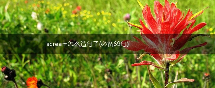scream怎么造句子(必备69句),第1张