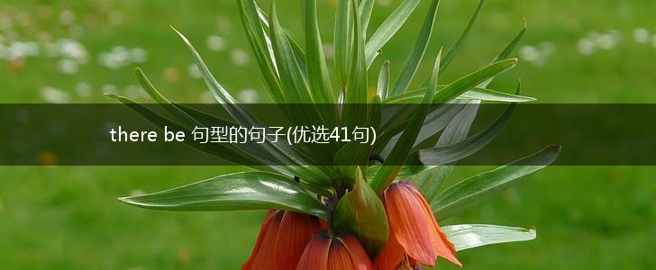 there be 句型的句子(优选41句),第1张