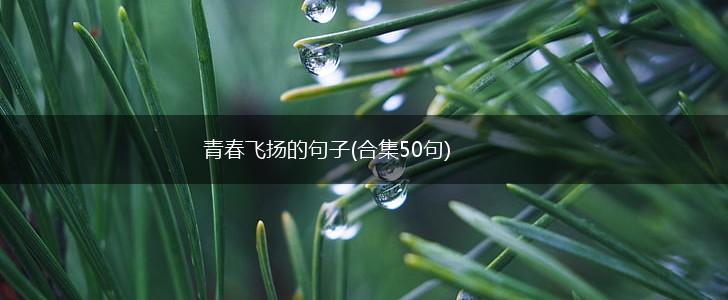 青春飞扬的句子(合集50句),第1张
