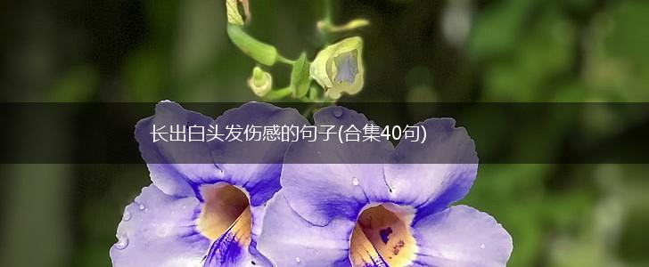 长出白头发伤感的句子(合集40句),第1张