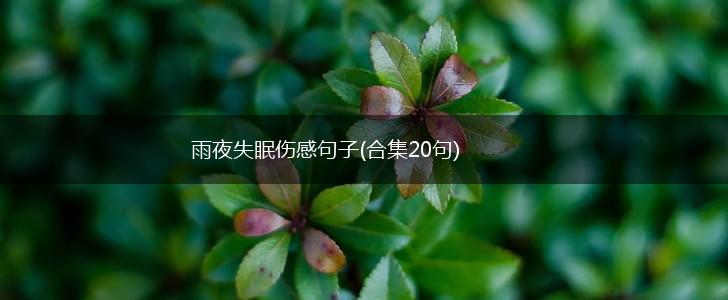 雨夜失眠伤感句子(合集20句),第1张