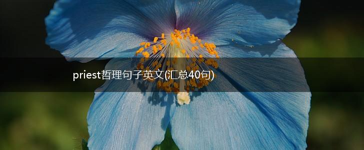 priest哲理句子英文(汇总40句),第1张