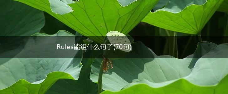 Rules能组什么句子(70句),第1张